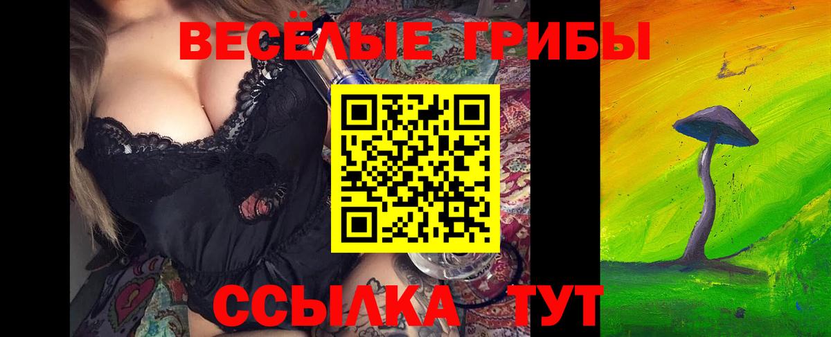 Псилоцибиновые грибы Psilocybine cubensis Качканар